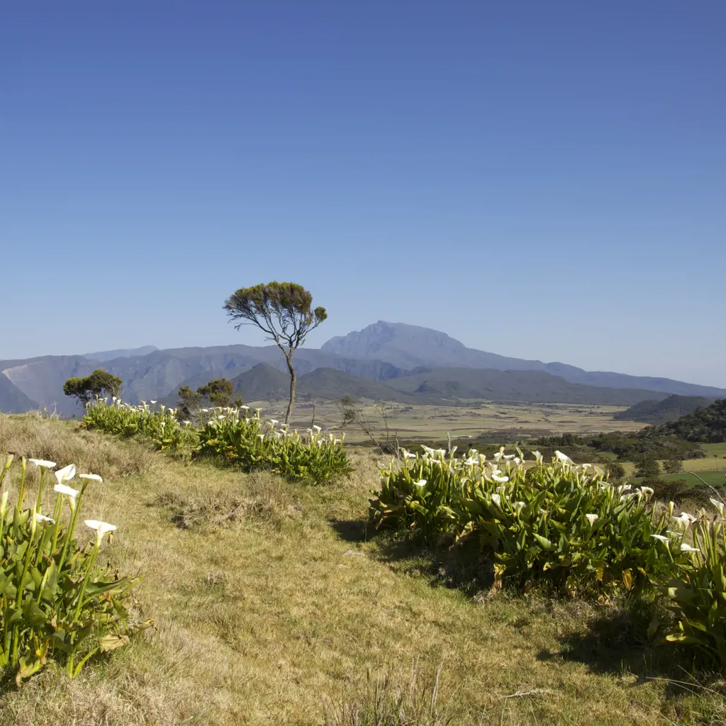 La Réunion